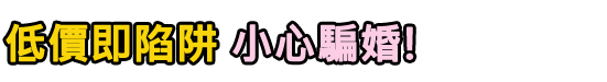 越南新娘辦到好協會